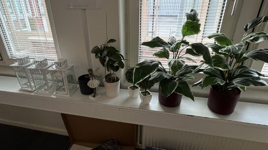 Kunstige Planter, 3 Lanterner