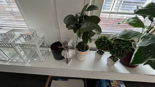 Kunstige Planter, 3 Lanterner