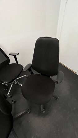 5 kontorstole + Kunstig Plante