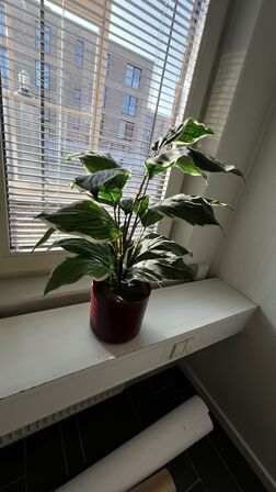 Kunstige Planter, 3 Lanterner