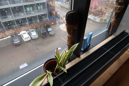 Div. Planter i krukker samt skulpturer