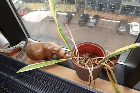 Div. Planter i krukker samt skulpturer