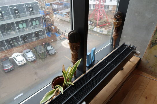 Div. Planter i krukker samt skulpturer