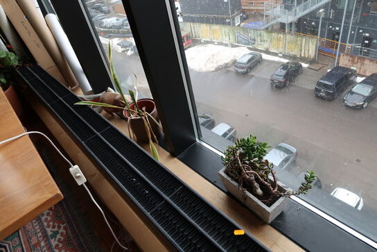 Div. Planter i krukker samt skulpturer