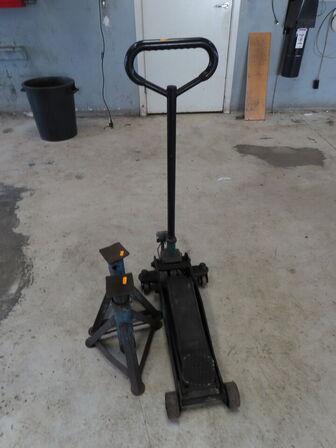 Dunkraft og 2 stk. bukke