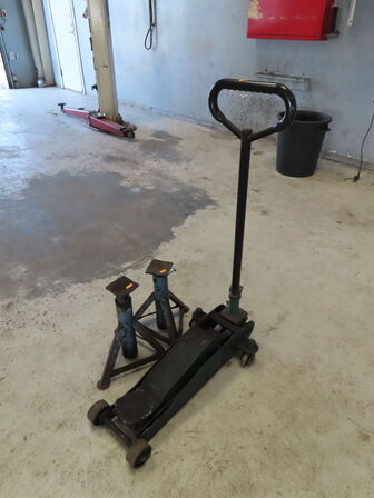 Dunkraft og 2 stk. bukke