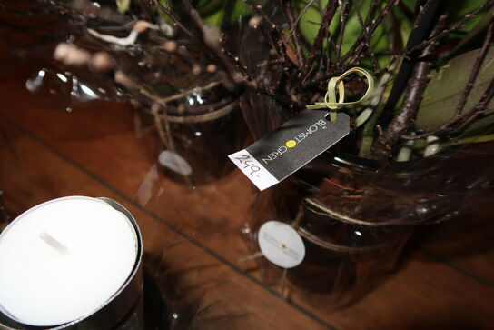 3 stk. planter i krukke