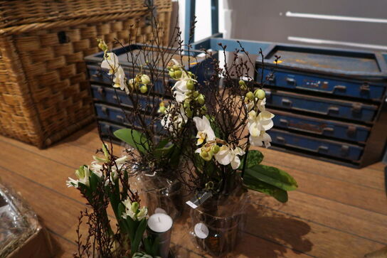 3 stk. planter i krukke