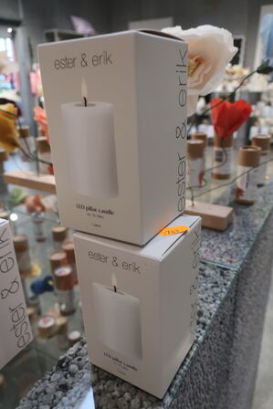 2 stk. LED Lys ESTER & ERIK