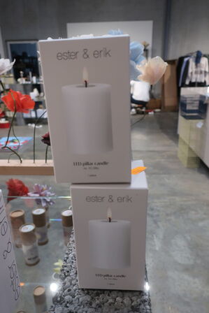 2 stk. LED Lys ESTER & ERIK