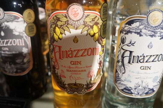 2 fl. Gin AMAZZONI