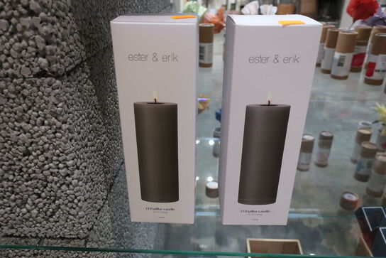 2 stk. LED Lys ESTER & ERIK