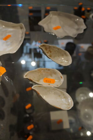 Kop, underkop, tallerken, m.v. CHRISTINA IVERSEN STUDIO MUSLING