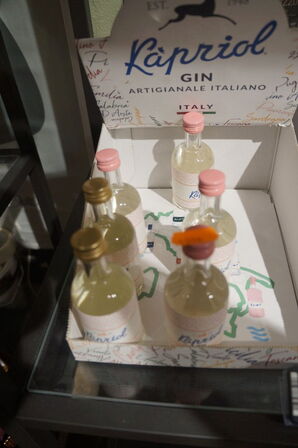 Diverse små gin RAPID