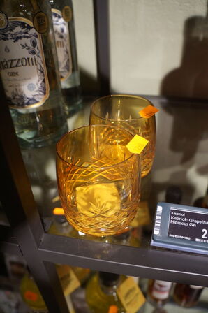 2 stk. Glas FREDERIK BAGGER