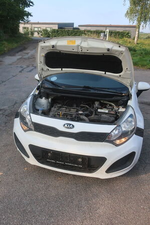 Personbil: KIA RIO 1.2 5-DØRS MAN. 5 (moms fri)