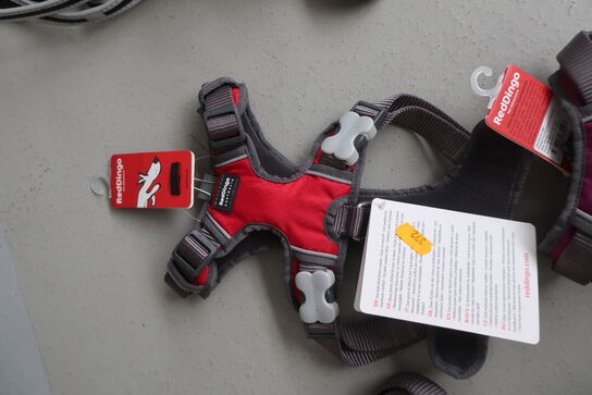 2 stk. hundeseler RED DINGO 