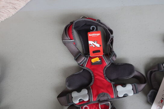 3 stk. hundeseler RED DINGO 