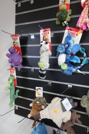 Diverse legetøj KONG