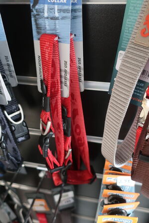 2 stk. halsbånd  ROGZ