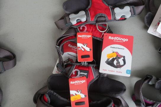 3 stk. hundeseler RED DINGO 