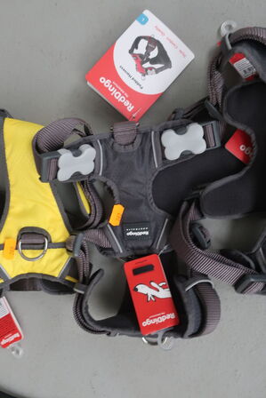 3 stk. hundeseler RED DINGO 