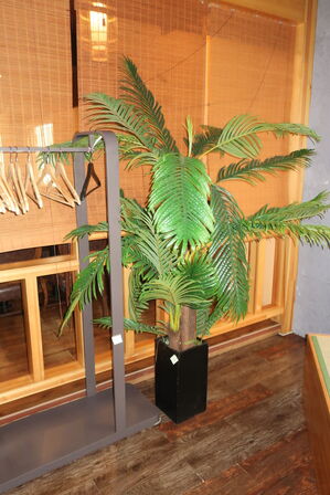 Tøjstativ og kunstig plante