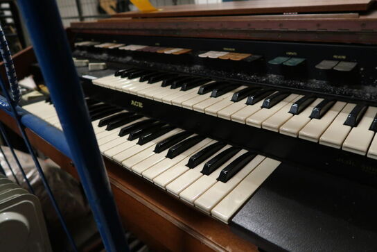 Orgel ACE