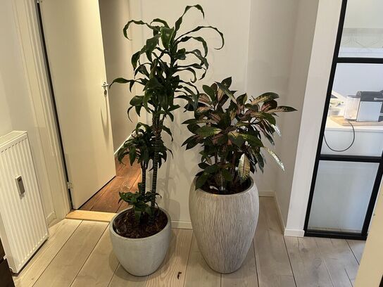 2 Planter