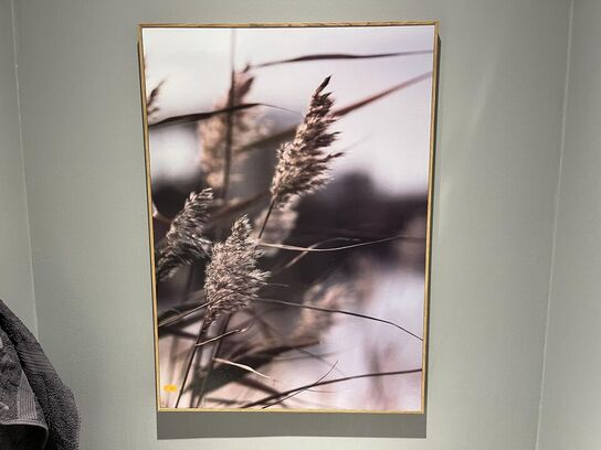 Toiletspejl, Billede, Knage, Hylde