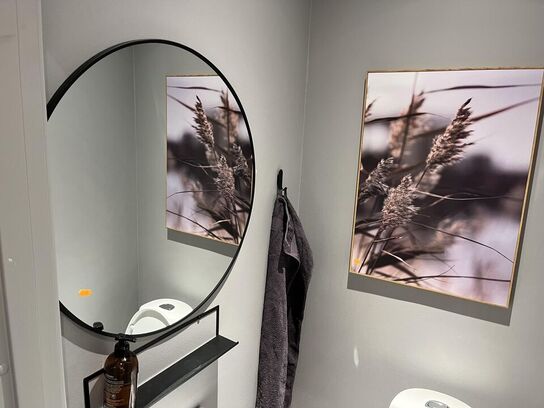 Toiletspejl, Billede, Knage, Hylde