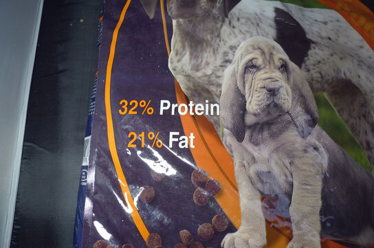 10kg hundefoder, Quicker, active junior