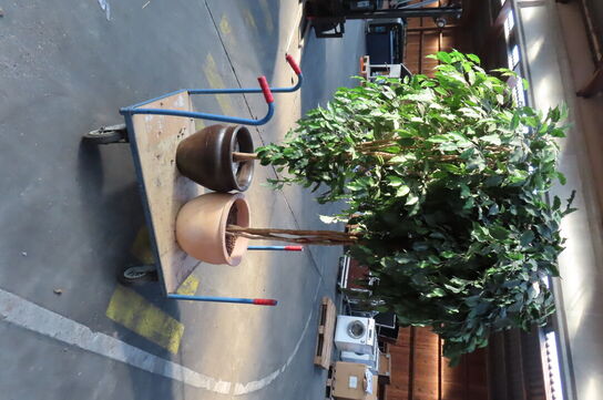 3 malerier, 2 rullevogne, haveredskaber og 2 blomster