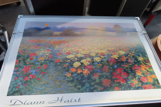 3 malerier, 2 rullevogne, haveredskaber og 2 blomster