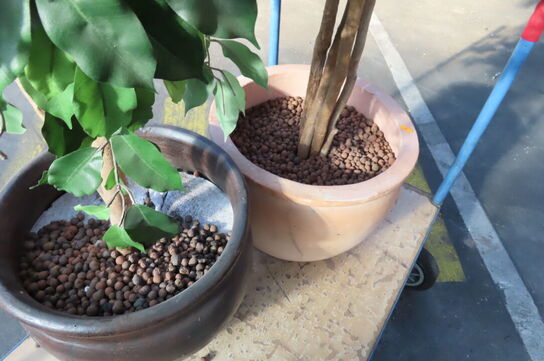 3 malerier, 2 rullevogne, haveredskaber og 2 blomster