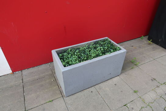 3 stk. planter i krukke