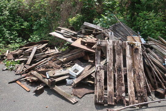 Pallerammer & affaldstræ