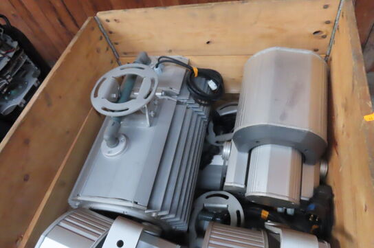 Palle med diverse lamper