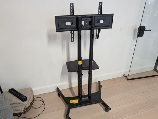 Mobile TV stand