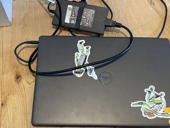 Bærbar computer DELL P40E001