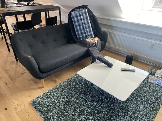 Sofa med bord og tæppe