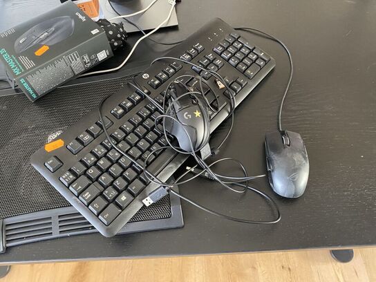 Skærm DELL, tastatur, mus mm.