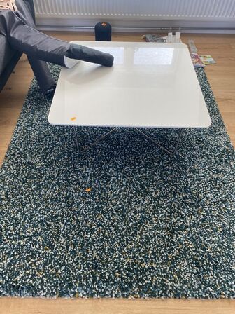 Sofa med bord og tæppe