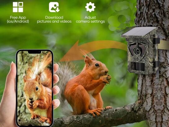 Vildtkamera med solceller og 2" farveskærm.