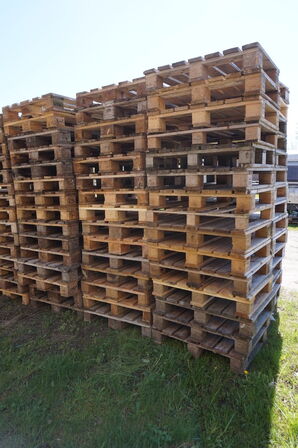 75 stk Europaller hel og halv paller 120x80 og 60x80 cm