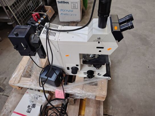 Microscope  LEICA  MZ Fliii