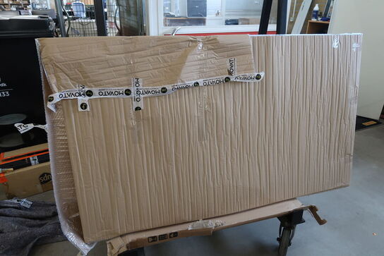 TV BANG & OLUFSEN Beovision Harmony 77