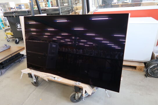 TV BANG & OLUFSEN Beovision Harmony 77