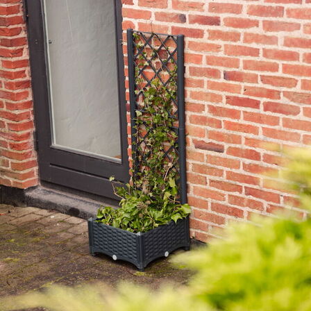 3 stk. plantekasse med espalier(ubrugt)