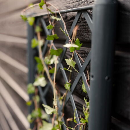 5 stk. plantekasse med espalier(ubrugt)